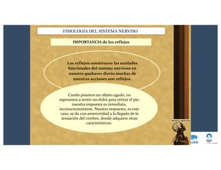FISIOLOGIA DEL SISTEMA NERVISO
IMPORTANCIA de los reflejos
Los reflejos constituyen las unidades
funcionales del sistema nervioso en
nuestro quehacer diario muchas de
nuestras acciones son reflejos.
Cundo pisamos un objeto agudo, no
esperamos a sentir un dolor para retirar el pie;
nuestra respuesta es inmediata,
inconscientemente. Nuestra respuesta, es este
caso, se da con anterioridad a la llegada de la
sensación del cerebro, donde adquiere otras
características.
 