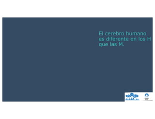 El cerebro humano
es diferente en los H
que las M.
 