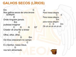 GALHOS SECOS (LÍRIOS)
Em
C
Nos galhos secos de uma árvore
qualquer,
D
Onde ninguém jamais
Em
pudesse imaginar
C
D
G
G7
Criador vê uma flor a brotar
C
Olhai, olhai, olhai...
D
Em
Os lírios cresceram no campo
C
E o Senhor, nosso Deus,
D
nos tem alimentado

G
Para nossa alegria
C
D
Para nossa alegria,
Em
para nossa alegria
C D
Em
Oh oh oh oh oh oh oh

 