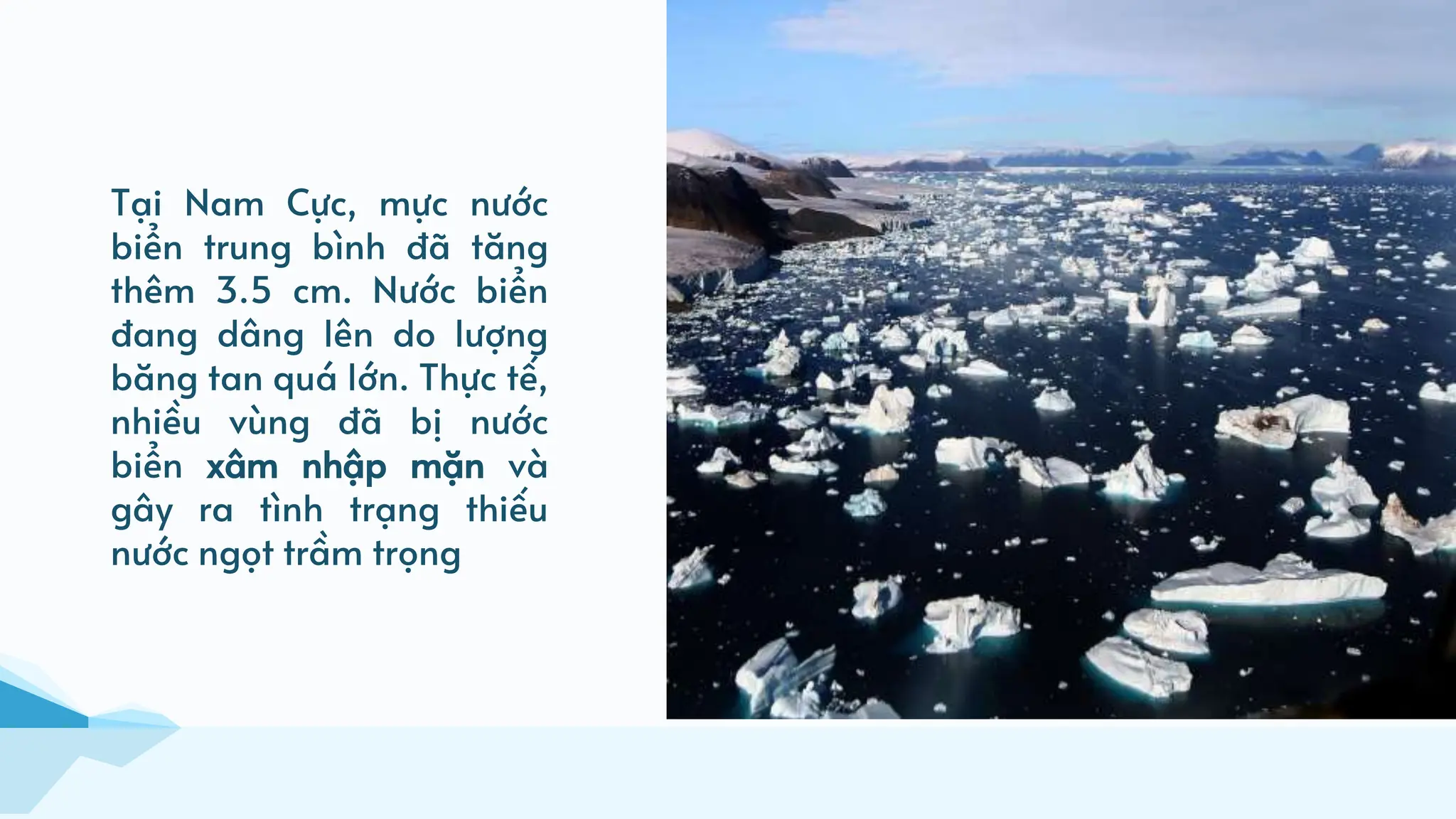 Tại Nam Cực, mực nước
biển trung bình đã tăng
thêm 3.5 cm. Nước biển
đang dâng lên do lượng
băng tan quá lớn. Thực tế,
nhiều vùng đã bị nước
biển xâm nhập mặn và
gây ra tình trạng thiếu
nước ngọt trầm trọng
 