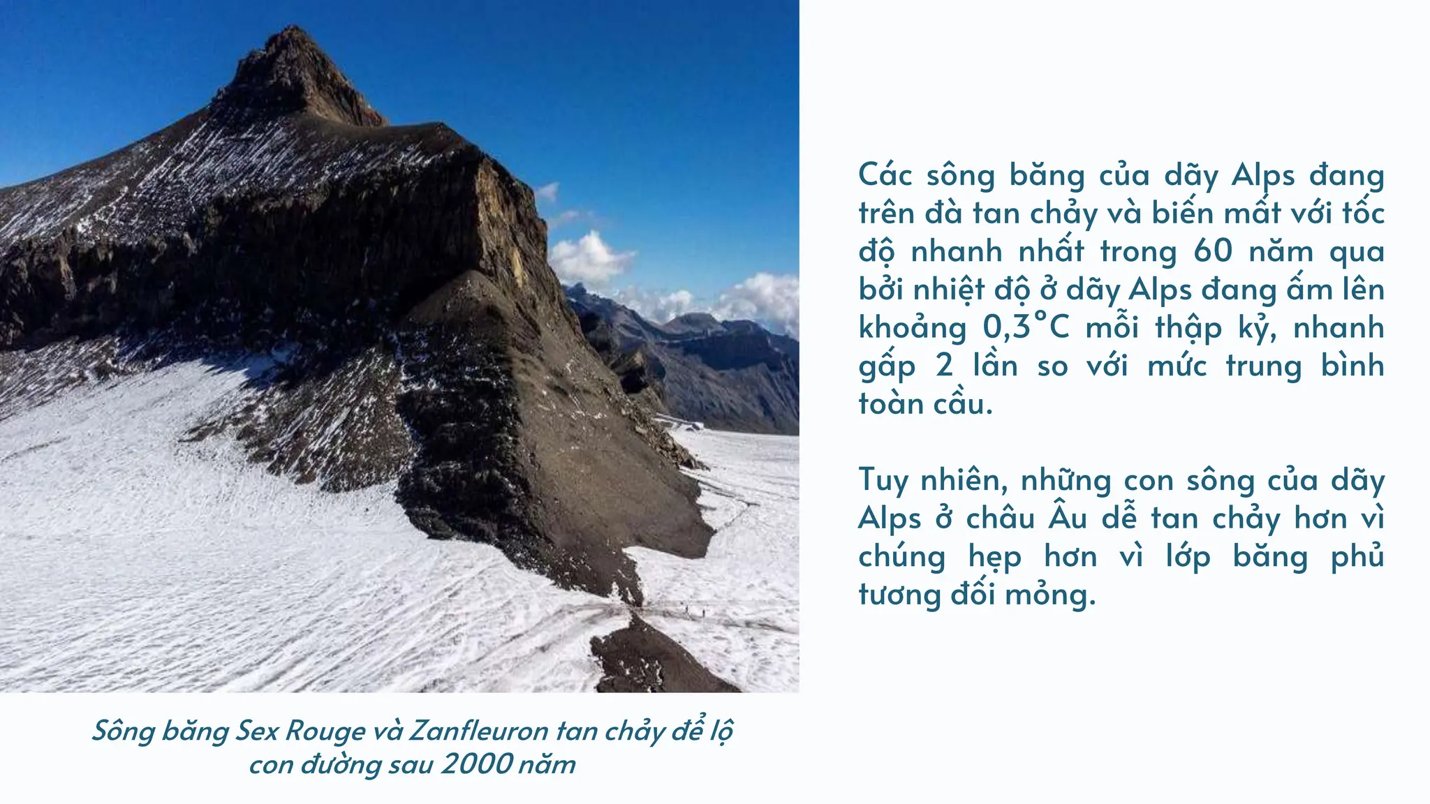 Các sông băng của dãy Alps đang
trên đà tan chảy và biến mất với tốc
độ nhanh nhất trong 60 năm qua
bởi nhiệt độ ở dãy Alps đang ấm lên
khoảng 0,3°C mỗi thập kỷ, nhanh
gấp 2 lần so với mức trung bình
toàn cầu.
Tuy nhiên, những con sông của dãy
Alps ở châu Âu dễ tan chảy hơn vì
chúng hẹp hơn vì lớp băng phủ
tương đối mỏng.
Sông băng Sex Rouge và Zanfleuron tan chảy để lộ
con đường sau 2000 năm
 