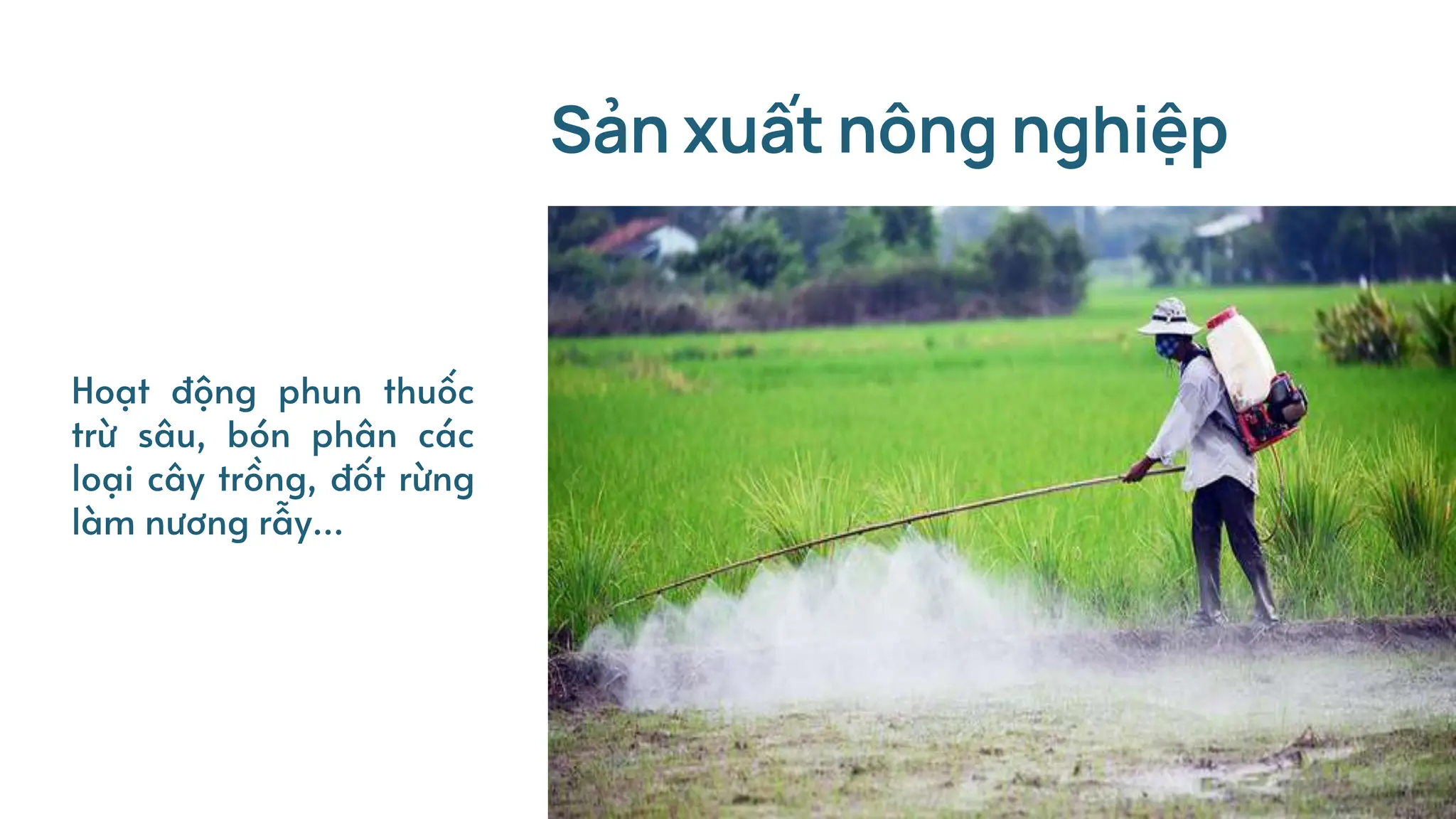 Hoạt động phun thuốc
trừ sâu, bón phân các
loại cây trồng, đốt rừng
làm nương rẫy…
Sản xuất nông nghiệp
 