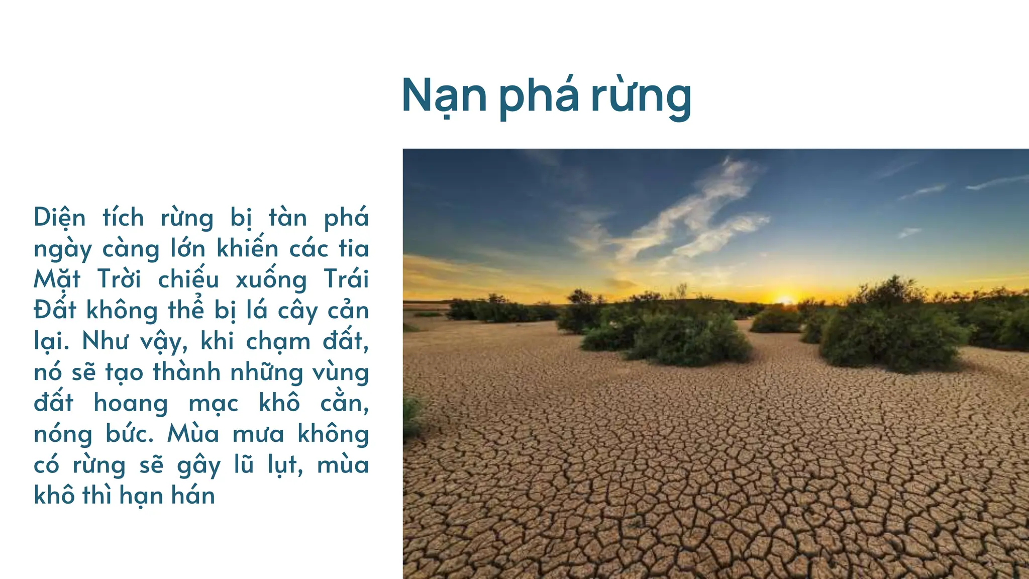 Diện tích rừng bị tàn phá
ngày càng lớn khiến các tia
Mặt Trời chiếu xuống Trái
Đất không thể bị lá cây cản
lại. Như vậy, khi chạm đất,
nó sẽ tạo thành những vùng
đất hoang mạc khô cằn,
nóng bức. Mùa mưa không
có rừng sẽ gây lũ lụt, mùa
khô thì hạn hán
Nạn phá rừng
 