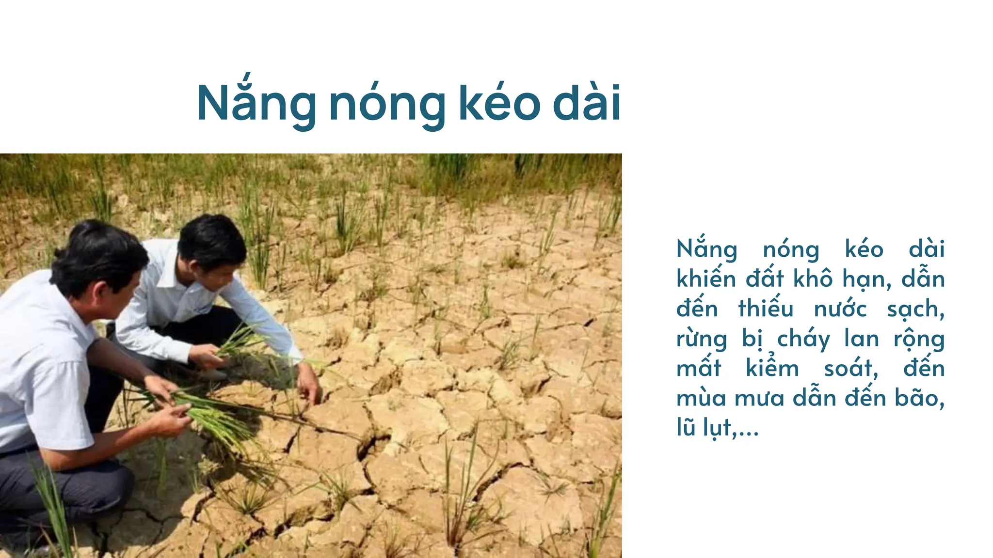 Nắng nóng kéo dài
Nắng nóng kéo dài
khiến đất khô hạn, dẫn
đến thiếu nước sạch,
rừng bị cháy lan rộng
mất kiểm soát, đến
mùa mưa dẫn đến bão,
lũ lụt,…
 