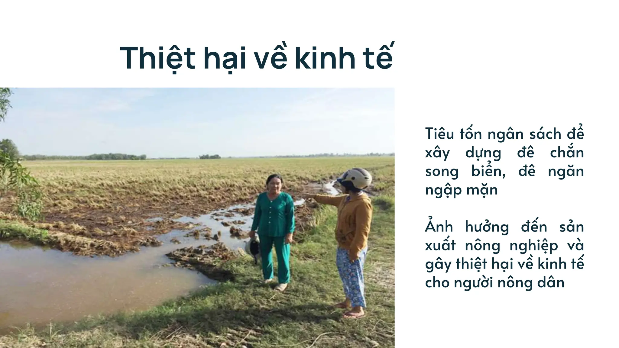 Thiệt hại về kinh tế
Tiêu tốn ngân sách để
xây dựng đê chắn
song biển, đê ngăn
ngập mặn
Ảnh hưởng đến sản
xuất nông nghiệp và
gây thiệt hại về kinh tế
cho người nông dân
 