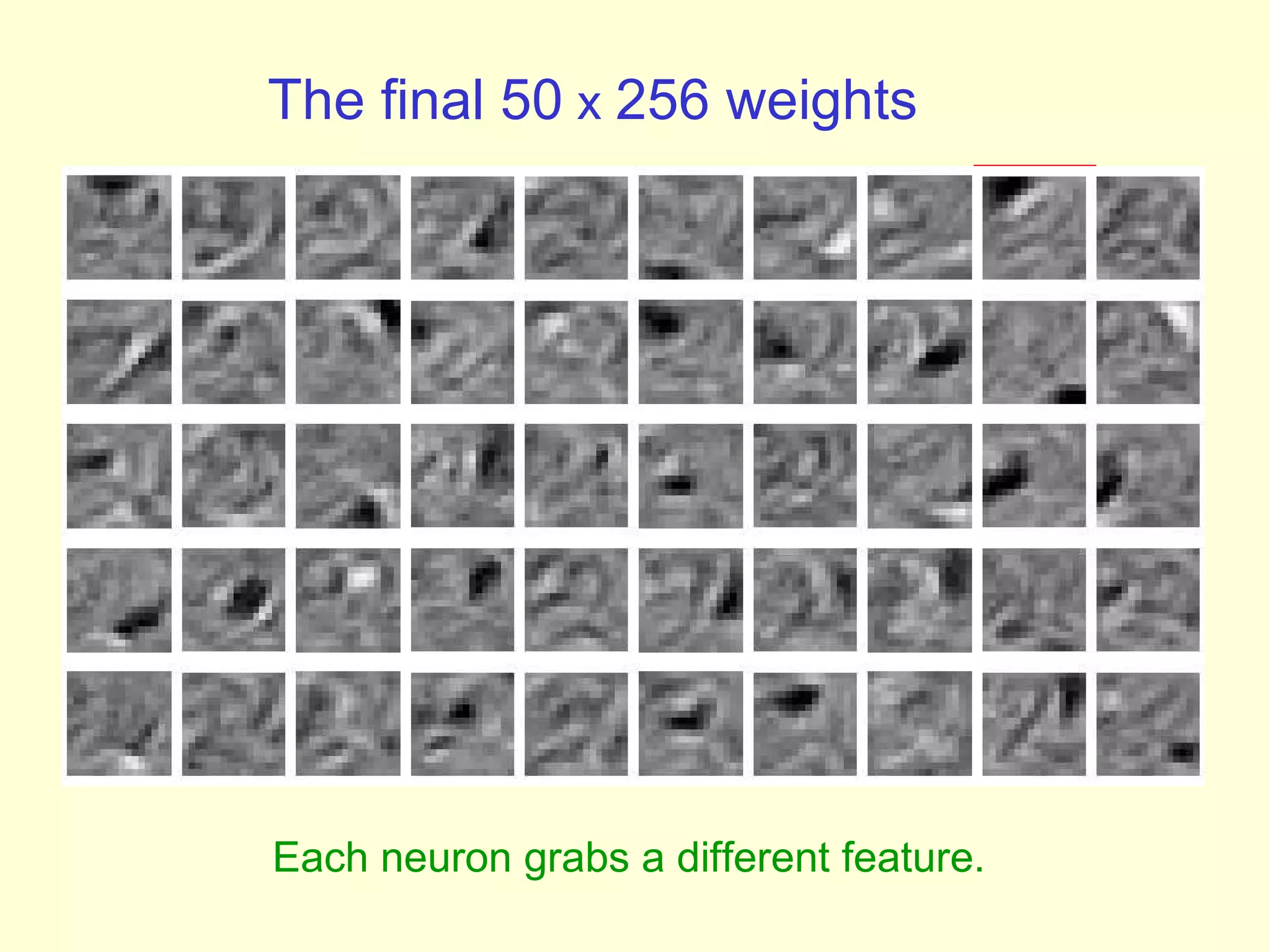 The final 50  x  256 weights Each neuron grabs a different feature.   
