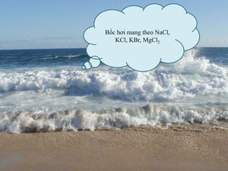 Bốc hơi mang theo NaCl,
KCl, KBr, MgCl2
 