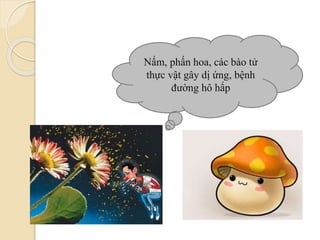 Nấm, phấn hoa, các bào tử
thực vật gây dị ứng, bệnh
đường hô hấp
 
