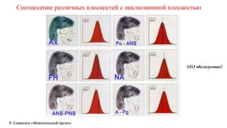 Hip плоскость в стоматологии | PPT