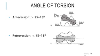 Hip-Biomechanics-SRS-ppt faculty of physiotherapy.ppt