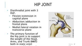 Transverse Hip Rotation Hip-Biomechanics-SRS-ppt faculty of physiotherapy.ppt