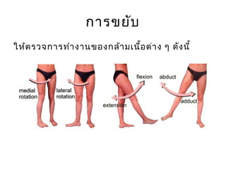 การขยับ 
ให้ตรวจการทำางานของกล้ามเนื้อต่าง ๆ ดังนี้ 
 