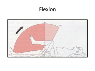 Flexion 
 