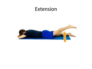 Extension 
 