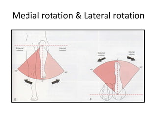 Medial rotation & Lateral rotation 
 