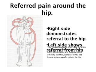 Referred pain around the 
hip. 
•Right side 
demonstrates 
referral to the hip. 
•Left side shows 
referral from hip 
True hip pain is usually referred to the groin, 
but it may also be referred to the ankle, 
knee, lumbar spine, and sacroiliac joints 
Similarly, the knee, sacroiliac joints, and 
lumbar spine may refer pain to the hip 
 