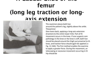 1. Caudal Glide of the 
femur 
(long leg traction or long-axis 
extension 
The examiner places both han 
around the patient's leg, slightly above the ankle. 
Thexaminer 
then leans back, applying a long-axis extension 
(traction) to the entire lower limb. Part of th 
movement occurs in the knee. If one suspects som 
pathology in the knee or the knee is stiff, both han 
should be placed around the thigh just proximal to th 
knee, and traction force should again be applied ( e 
Fig. 11-54A). The first method enables the examine 
to apply a greater force. During the movement, an 
telescoping or excessive movement occurring in th 
hip should be 
 