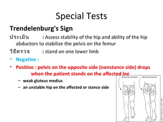 Special Tests 
Anterior Labral Tear Test 
ท่าเตรียม : supine position ,Take hip full flexion, lateral 
rotation, abduction...