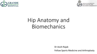 Hip Anatomy and
Biomechanics
Dr Asish Rajak
Fellow Sports Medicine and Arthroplasty
 