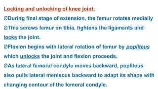 Hip and Knee Joints Prof Dr Mohamed El-Badry Mohamed.pptx