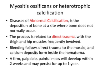 Myositis ossificans or heterotrophic
calcification
• Diseases of Abnormal Calcification, is the
deposition of bone at a site where bone does not
normally occur.
• The process is related to direct trauma, with the
thigh and hip muscles frequently involved.
• Bleeding follows direct trauma to the muscle, and
calcium deposits form inside the hematoma.
• A firm, palpable, painful mass will develop within
2 weeks and may persist for up to 1 year.
 