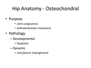 Hip Anatomy - Osteochondral
• Purpose
• Joint congruence
• Arthrokinematic movement
• Pathology
– Developmental
• Dysplasia
– Dynamic
• Cam/pincer impingement
 