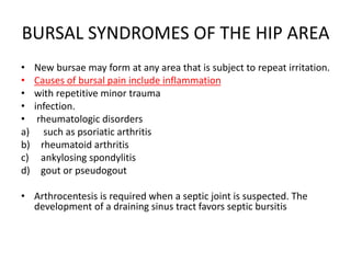 BURSAL SYNDROMES OF THE HIP AREA
• New bursae may form at any area that is subject to repeat irritation.
• Causes of bursal pain include inflammation
• with repetitive minor trauma
• infection.
• rheumatologic disorders
a) such as psoriatic arthritis
b) rheumatoid arthritis
c) ankylosing spondylitis
d) gout or pseudogout
• Arthrocentesis is required when a septic joint is suspected. The
development of a draining sinus tract favors septic bursitis
 