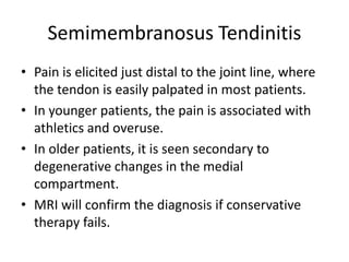 Semimembranosus Tendinitis
• Pain is elicited just distal to the joint line, where
the tendon is easily palpated in most patients.
• In younger patients, the pain is associated with
athletics and overuse.
• In older patients, it is seen secondary to
degenerative changes in the medial
compartment.
• MRI will confirm the diagnosis if conservative
therapy fails.
 