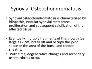 Synovial Osteochondromatosis
• Synovial osteochondromatosis is characterized by
idiopathic, nodular synovial membrane
proliferation and subsequent calcification of the
affected tissue.
• Eventually, multiple fragments of this growth (as
large as 2 cm) break off and occupy the joint
space or the area of the bursa and tendon
sheaths.
• With time, degenerative changes and secondary
osteoarthritis occur.
 