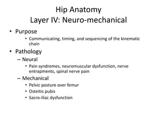 Hip Dysfunction HIP AND KNEE PAIN.pptx