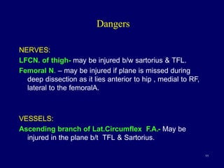 Dangers
NERVES:
LFCN. of thigh- may be injured b/w sartorius & TFL.
Femoral N. – may be injured if plane is missed during
deep dissection as it lies anterior to hip , medial to RF,
lateral to the femoralA.
VESSELS:
Ascending branch of Lat.Circumflex F.A.- May be
injured in the plane b/t TFL & Sartorius.
11
 