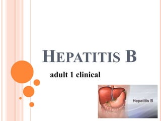 HEPATITIS B
adult 1 clinical
 