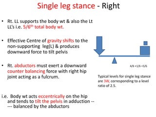 hipbiomechanics-131109064817-phpapp02.pdf