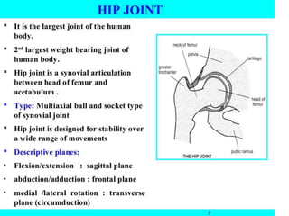 Hip biomechanics | PPTX