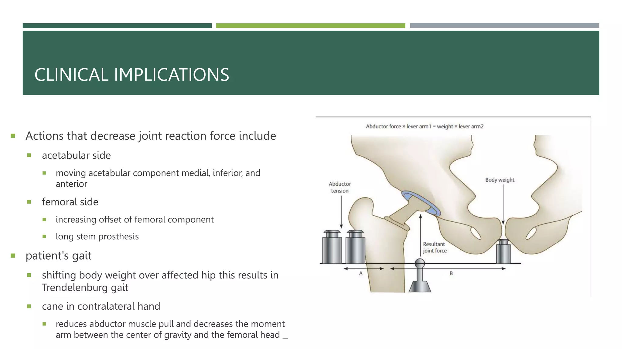 Hip Biomechanics.pptx