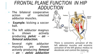 Hip Biomechanics SRS | PPT