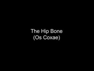 The Hip Bone
(Os Coxae)
 