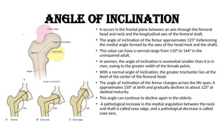 BIOMECHANICS & KINESIOLOGY OF THEHIP COMPLEX.pptx