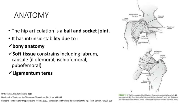 hip dislocation, anatomy, history, diagnosis, treatment and management ...