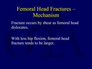 Femoral Head Fractures – Mechanism <ul><li>Fracture occurs by shear as femoral head dislocates. </li></ul><ul><li>With les...