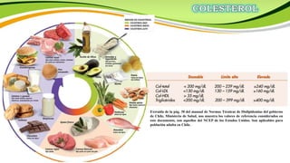 Extraída de la pág. 30 del manual de Normas Técnicas de Dislipidemias del gobierno
de Chile, Ministerio de Salud, nos muestra los valores de referencia considerados en
este documento, son aquellos del NCEP de los Estados Unidos. Son aplicables para
población adulta en Chile.
 