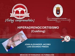 HIPERADRENOCORTISISMO
(Cushing)
JOHN ALEXANDER JACOBO
LUIS EDUARDO PINEDA
MÉDICOS VETERINARIOS EN FORMACIÓN
 