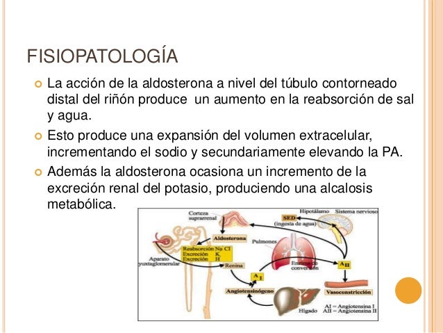 Hiperaldosteronismo primario y secundario Hiperaldosteronismo primario y secundario