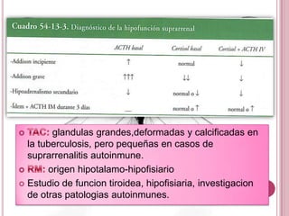 Hiperandrogenismo hap-adisson-dislipidemias