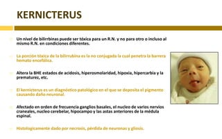 Cefalohematoma, caput, forceps.