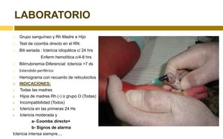 Inhibe el intercambio iónico y el transporte de agua en células renales lo que explicaría el edema neuronal en la encefalopatía por bilirrubina.