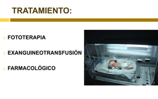 Bilirrubina ingresa al cerebro cuando: - Aumenta su concentración plasmática - Se encuentra libre en el plasma	- Se encuentra no conjugada 	- Existe daño de la barrera hematoencefálica (Infeccion, asfixia, prematurez, ceftriaxona, etc.)    - En presencia de acidosis RespiratoriaLa Encefalopatía por Bilirrubina Aguda o crónica es la manifestación clínica del efecto neurotóxico y su traducción anatomopatológica es el Kernicterus.KERNICTERUSEs coloración amarilla de los ganglios basales producida por impregnación con bilirrubina, descrita en autopsias de RN fallecidos con severa ictericia.	    Constituye la complicación más grave de la HIPERBILIRRUBNEMIA. Es relativamente infrecuente, su incidencia aumentó con las nuevas políticas sanitarias de alta prematura (antes de las 48 hs). 