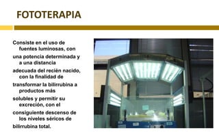 KERNICTERUSUn nivel de bilirrbinas puede ser tóxica para un R.N. y no para otro o incluso al mismo R.N. en condiciones diferentes.La porción tóxica de la bilirrubina es la no conjugada la cual penetra la barrera hemato encefálica.Altera la BHE estados de acidosis, hiperosmolaridad, hipoxia, hipercarbia y la prematurez, etc.El kernicterus es un diagnóstico patológico en el que se deposita el pigmento causando daño neuronal.Afectado en orden de frecuencia ganglios basales, el nucleo de varios nervios craneales, nucleo cerebelar, hipocampo y las astas anteriores de la médula espinal.Histologicamente dado por necrosis, pérdida de neuronas y gliosis. 