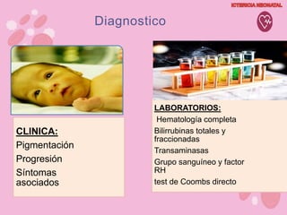 CLINICA:
Pigmentación
Progresión
Síntomas
asociados
LABORATORIOS:
Hematología completa
Bilirrubinas totales y
fraccionadas
Transaminasas
Grupo sanguíneo y factor
RH
test de Coombs directo
Diagnostico
 