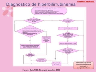 Diagnostico de hiperbilirrubinemia
Referirse al diagrama de
flujo correspondiente de
fototerapia o
exanguinotransfusion
Fuente: Guia NICE. Neonatal jaundice, 2017
 